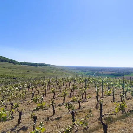 L'annexe Rose & Romy, Maison Au Coeur Des Vignes Et En Bord De Marne