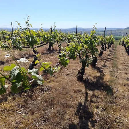 Prázdninový dům L'annexe Rose & Romy, Maison Au Coeur Des Vignes Et En Bord De Marne Cumieres