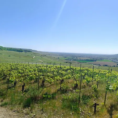 Prázdninový dům L'annexe Rose & Romy, Maison Au Coeur Des Vignes Et En Bord De Marne